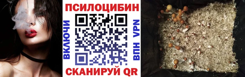 Галлюциногенные грибы мицелий  Окуловка 